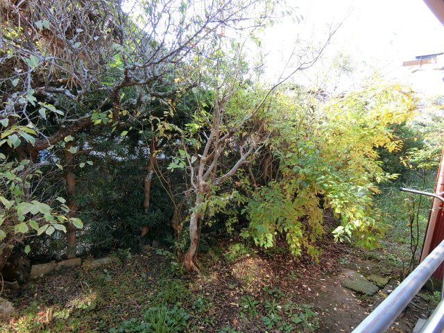 九十九里片貝字西ノ下3410中古戸建ての庭