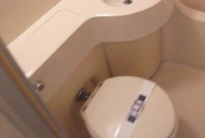 ライオンズマンション新宿東公園のトイレ|※別室参考写真