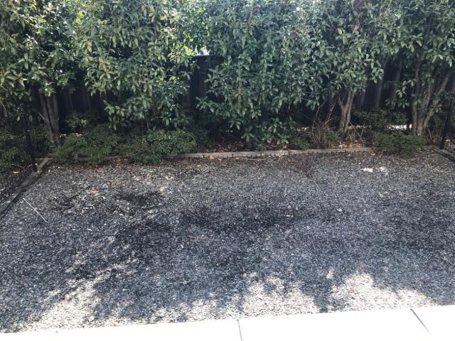 シャイン　ヒルズの庭|庭