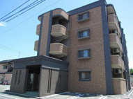 Ｃｏｒｄｅｌｉａの画像