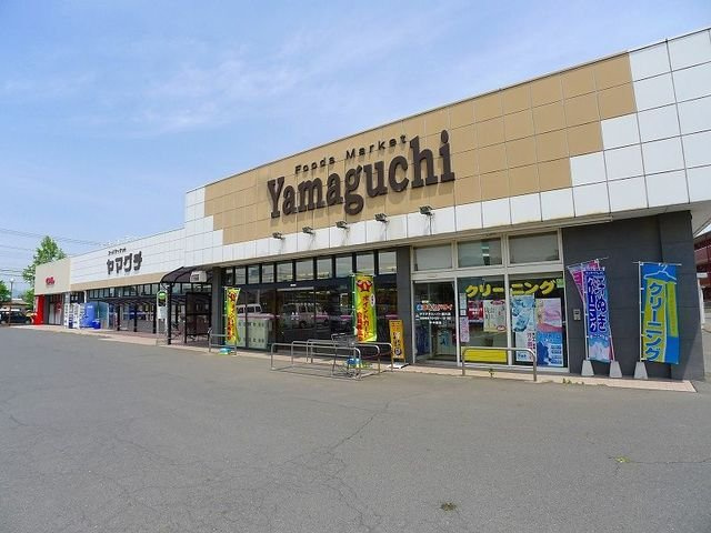 ラフィネ　メゾンＢの周辺|ヤマグチスーパー太田韮川店まで1700m