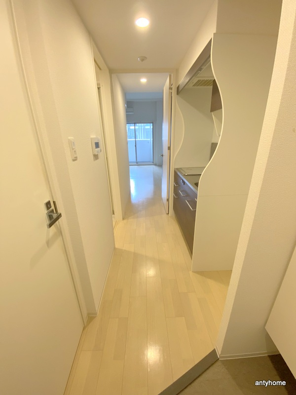 セレニテ心斎橋グランデ 仲介手数料無料の内装