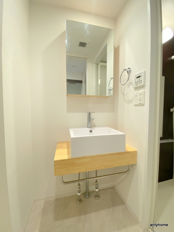 セレニテ心斎橋グランデ 仲介手数料無料の洗面所