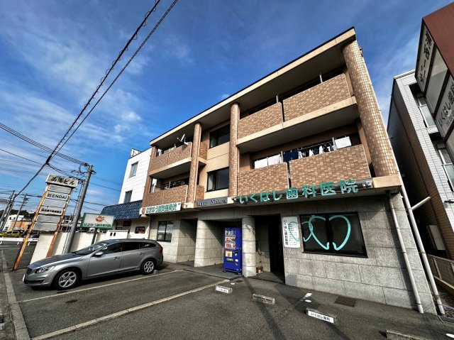 サニーニシウラ