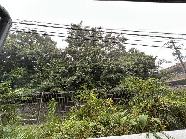 仲介手数料０円！ゼスタレジデンス八雲の展望