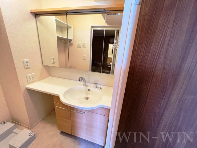 蒼い館の独立洗面台|イメージ（同建物内別部屋の写真です）