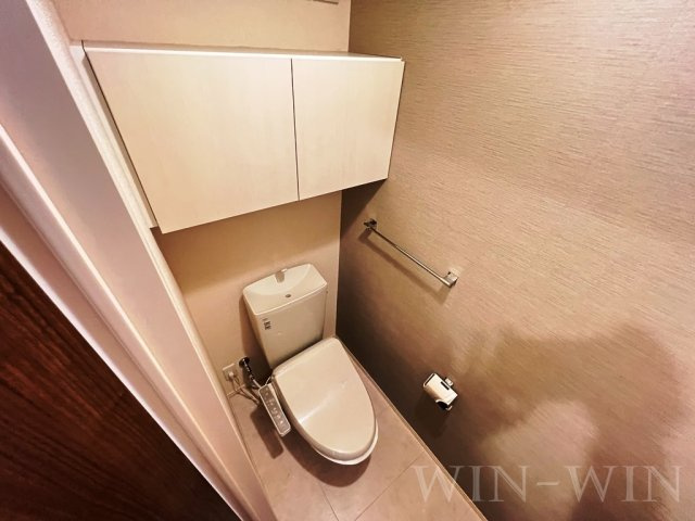 蒼い館のトイレ|イメージ（同建物内別部屋の写真です）