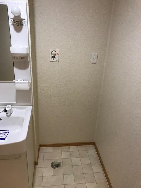 フォーシーズンの洗面所
