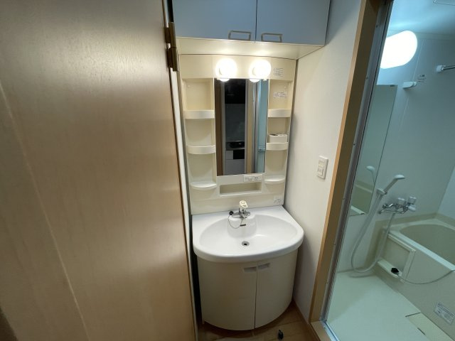 川崎市麻生区細山５丁目の賃貸マンションの洗面所