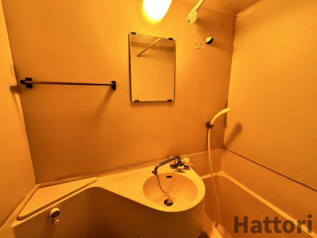 フェリス山手の洗面所