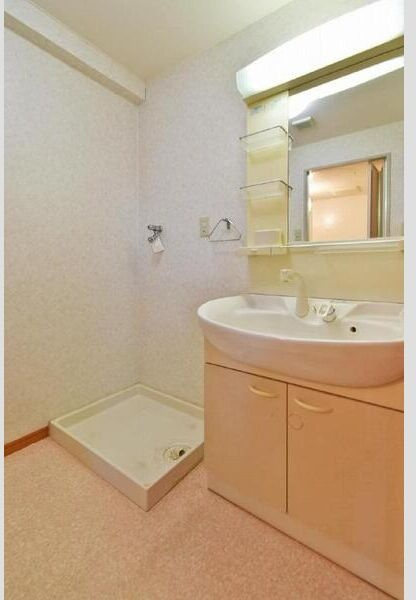 サンシャイン　阪野の洗面所