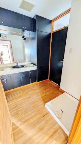 プチメゾン正田の洗面所