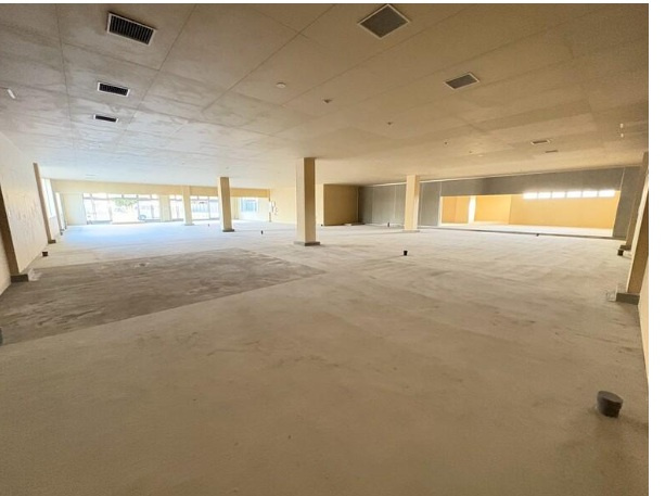 スプランディッドⅦ