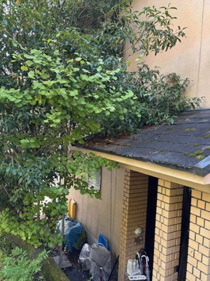 【外観】 | S22241-市原野