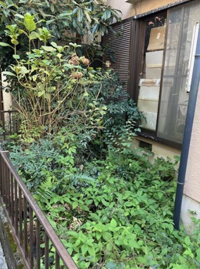 【庭】 | S22241-市原野