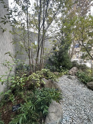 川崎市多摩区登戸の賃貸マンションの庭