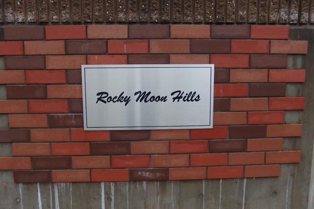 Ｒｏｃｋｙ　Ｍｏｏｎ　Ｈｉｌｌｓ　Ｄ棟のその他共用部分