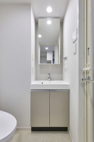 プラウドフラット錦糸町ウエストの洗面所|参考写真