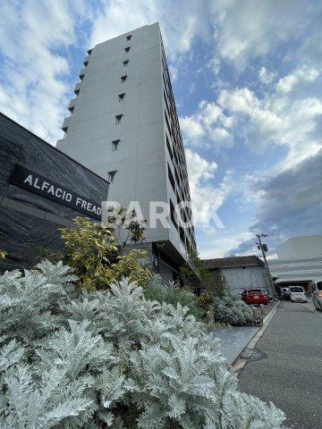 アルファシオフリード