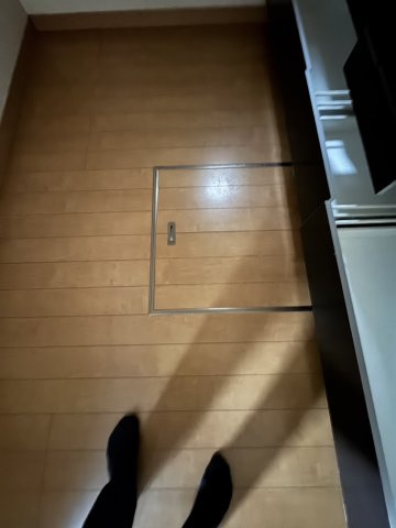 相模原市南区新戸字五味ヶ谷 中古一戸建てのキッチン