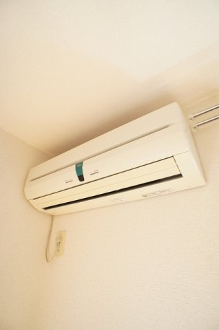 プリマベーラのその他