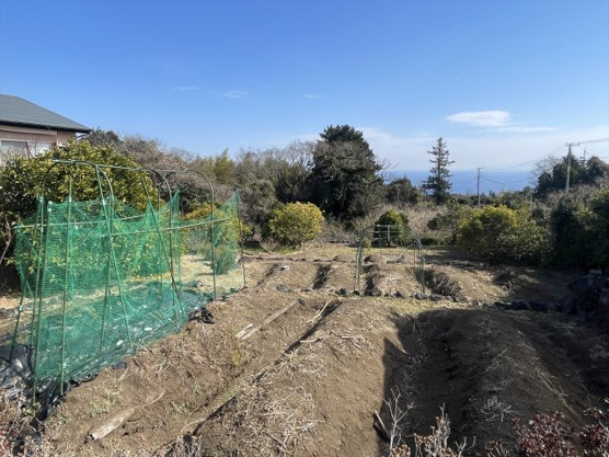 【庭】 | 伊東市富戸　戸建