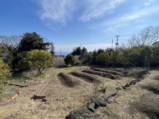 【庭】 | 伊東市富戸　戸建