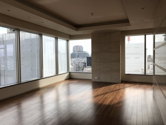 千代田区一番町の賃貸マンションのその他|リビング