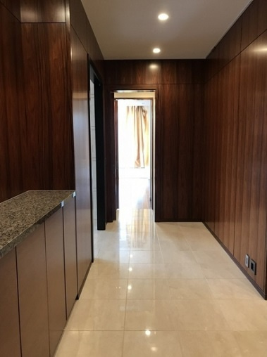 千代田区一番町の賃貸マンションの玄関