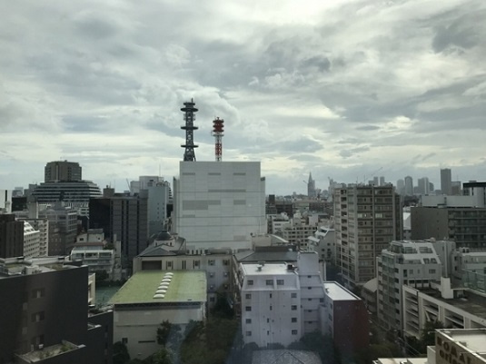 千代田区一番町の賃貸マンションのバルコニー|眺望