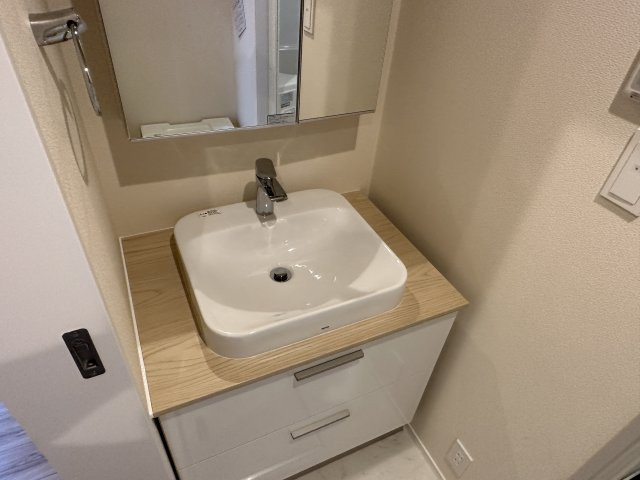 ブライト南台の洗面所