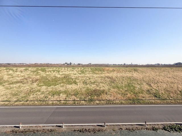 ライフペリエ三郷の展望|バルコニーからは土手が見えます。菜の花シーズンはとてもキレイです