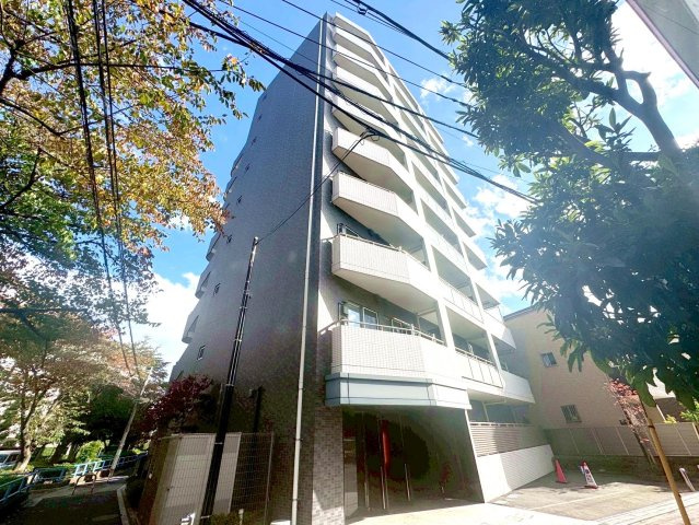 ミルーナヒルズエグラス梅島の外観