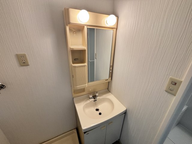 川口市元郷３丁目の賃貸マンションの独立洗面台