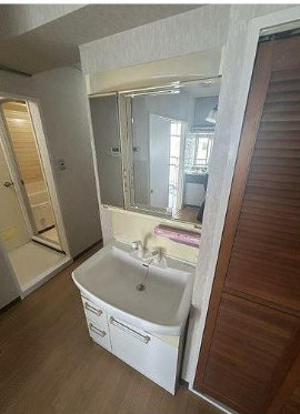 ライオンズマンション駒形の洗面所