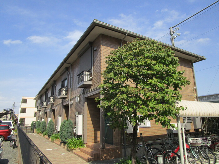 ラヴィアンローズ