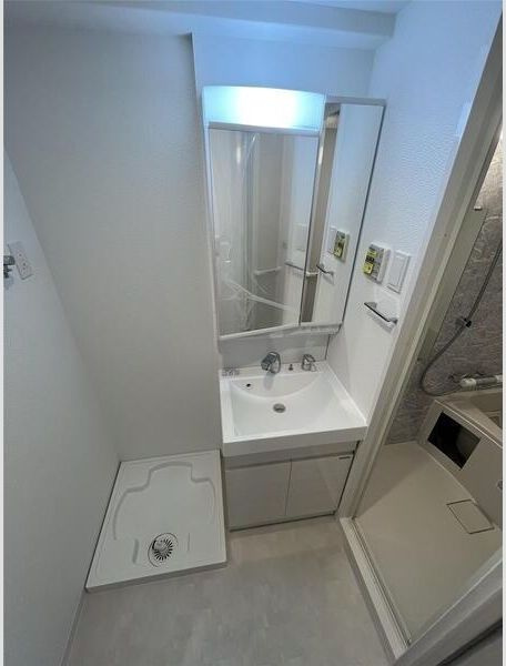 S-RESIDENCE難波大国町Deuxの洗面所