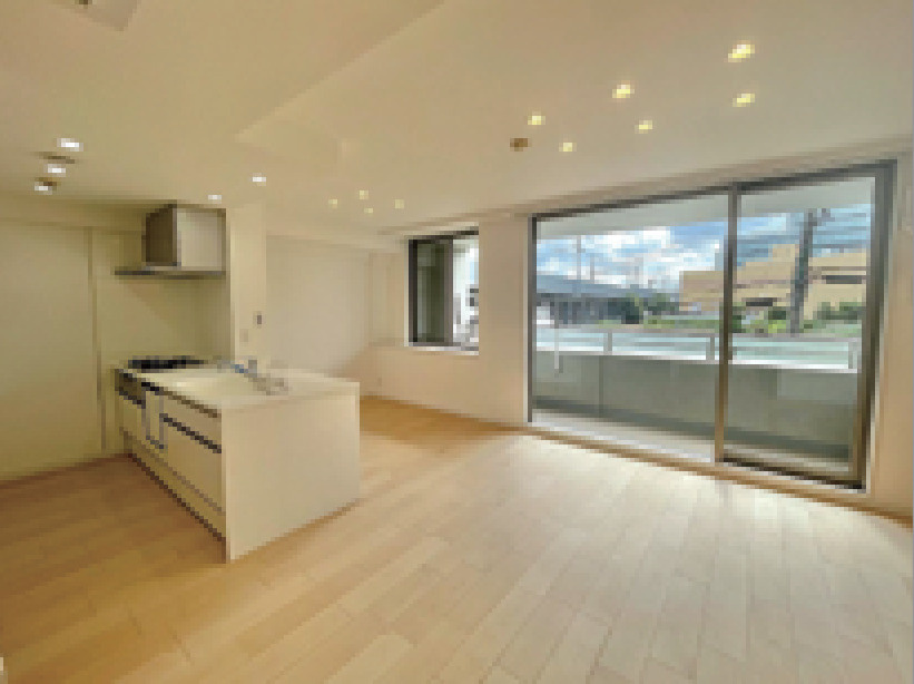 メビウスブレイン菊名ウェルズ【仲介手数料無料】ペット可♪の居間・リビング