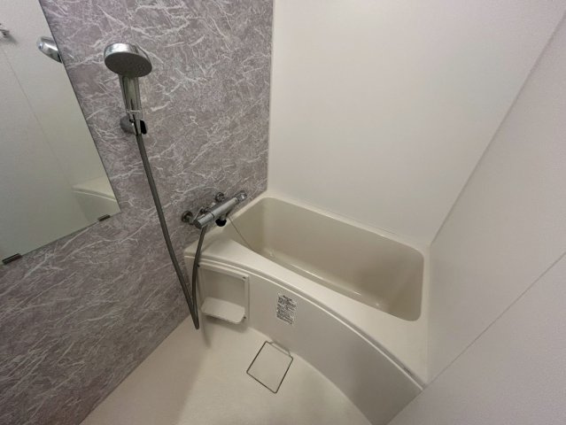 S-RESIDENCE阿波座WESTの浴室