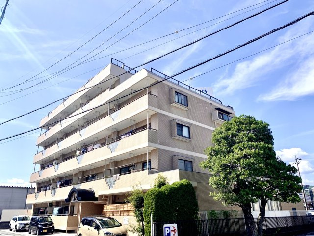 フジヤ竜南　静岡市葵区竜南１丁目