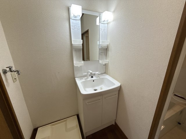 アベニュー安室の洗面所