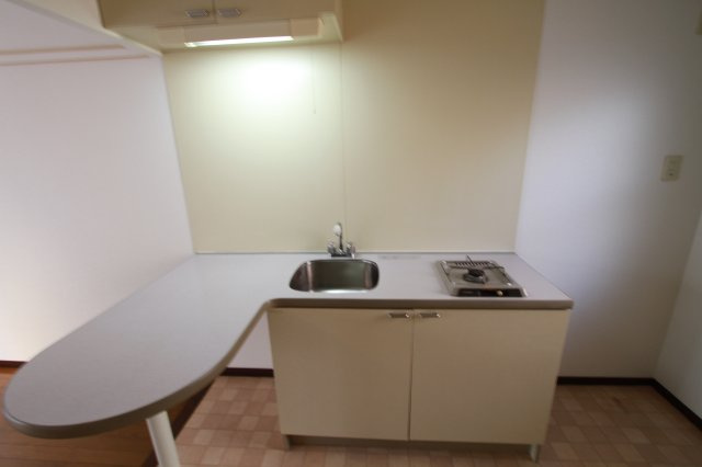 モンスグニール　南向き　角部屋　学生おすすめのキッチン