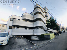 グレース園田の画像