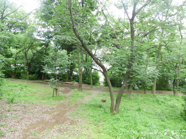 シティハイム　ＡＩＺＡＷＡ　Bのその他|瀬谷中央公園