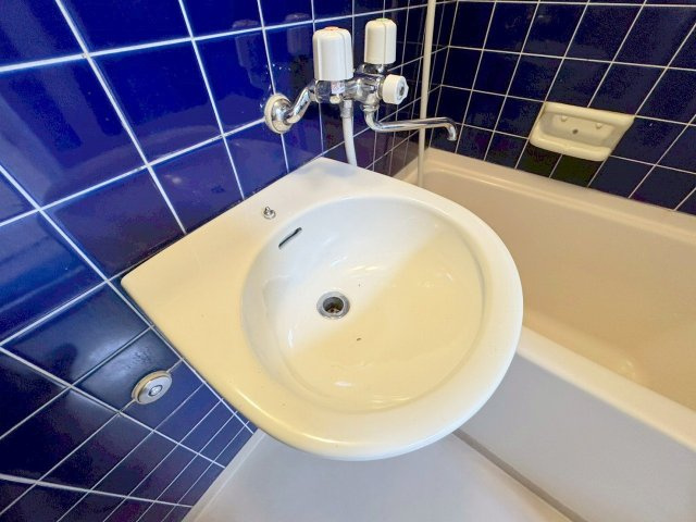 シオザキビルNo.3の洗面所