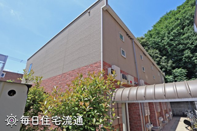 【展望】 | ミモザ
