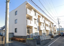 ハイムサエグサD(ハイムサエグサディー)の画像