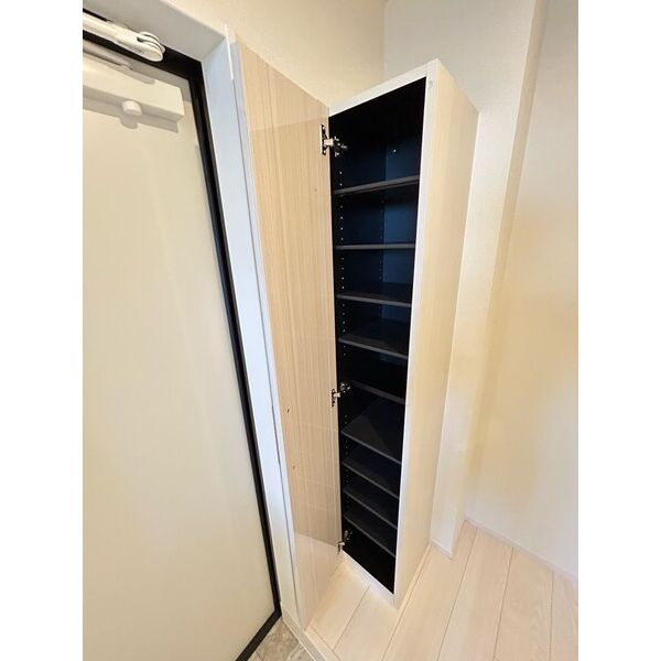 ハーモニーテラス上石川町Ⅵの玄関