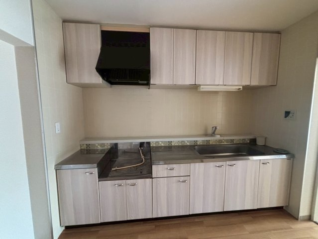 成田市玉造７丁目の賃貸マンションのキッチン