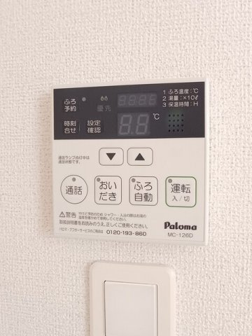 ビッグ　アイランド　Ⅱのその他